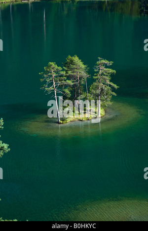 Bäume auf einer Insel mitten im See Fernsteinsee, Tirol, Österreich Stockfoto