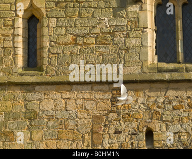 Battle Abbey in West Sussex UK, Schauplatz einer entscheidenden Schlacht zwischen Sachsen und Normannen in der englischen Geschichte, wo Harold starb Stockfoto