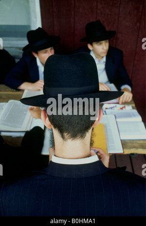 Jungen studieren an einer Summer School für orthodoxe Juden, USA. Stockfoto