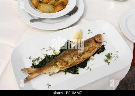 Felchen gefangen in den Starnberger See, serviert auf Blattspinat, Restaurant Lido, Seeshaupt, Oberbayern Starnberger See, Stockfoto