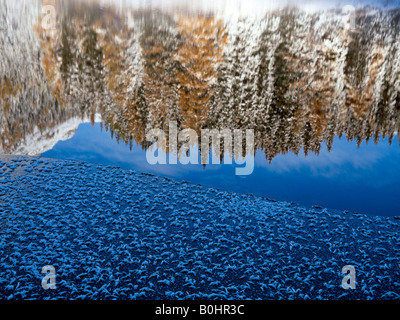 Reflexion von Schnee bedeckt, Pinien und Bergen unter blauem Himmel in den ungefrorenen Abschnitten des Obernberger Sees, Obernberge Stockfoto