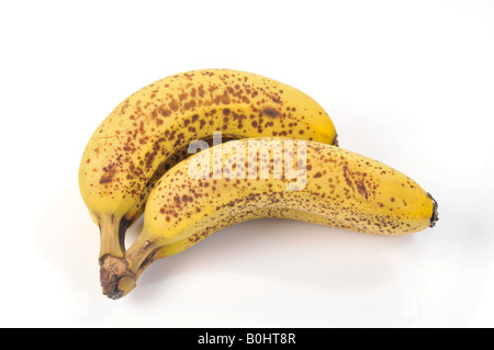 Zwei reife Bananen, braune Flecken Stockfoto