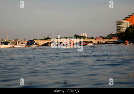 Ruderer auf der Themse in Putney, London, UK Stockfoto