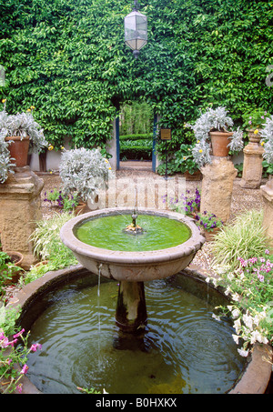 Brunnen. Patio de Las Rejas. Viana-Palast. Cordoba. Andalusien. Spanien. Stockfoto