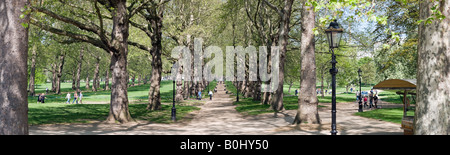 Green Park im Frühjahr im Herzen von Cenral London weiten Panorama hohe Auflösung Stockfoto