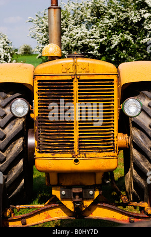 Alte gelbe Ackerschlepper mit rostigen Kühlergrill Stockfoto