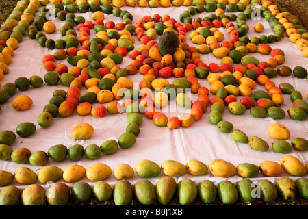 Mango-Anzeige in Mango fest Stockfoto