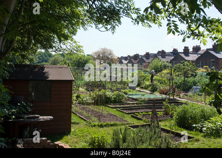 Traditionelle Kleingärten entlang der Thames Path in Kew Stockfoto