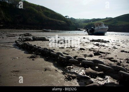 Watermouth Cove, Devon, England Stockfoto