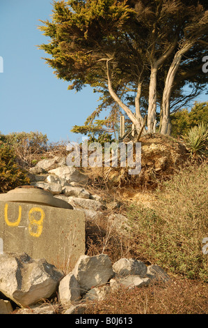 Cliff Erosion zu zuvorkommend in Dorset England UK Großbritannien Küste Englands Küsten highcliff Stockfoto