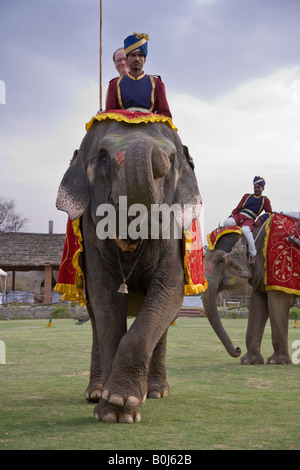 Eine Glücklich lächelnde touristische Fahrten kostümierten Elephant Elephant spielen Polo Rajasthan Jaipur Indien 2 kostümierten Spieler sitzt Beobachten von geschmückten Elefanten Stockfoto