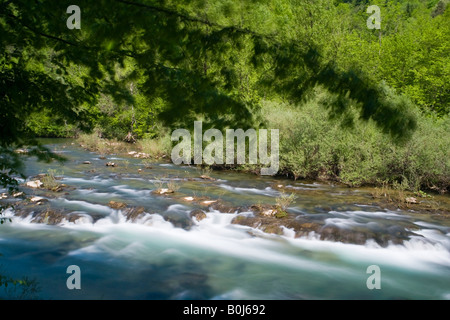 Wald Fluss Kupa in der Nähe von "Brod Na Kupi' in Kroatien Stockfoto