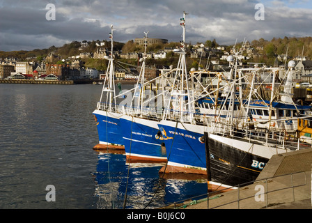 Angelboote/Fischerboote im Hafen von Oban, Argyll, Schottland Stockfoto