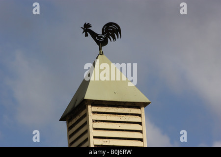 Eine Wetterfahne auf einer Scheune. Stockfoto