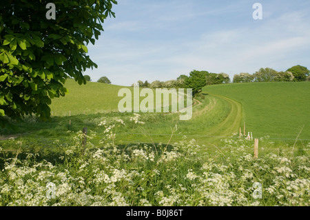 Farmland in Spring Hampshire UK Stockfoto