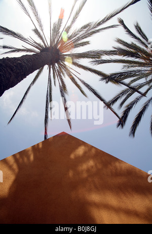 Niedrigen Winkel Blick auf Palmen und Pyramide. Stockfoto