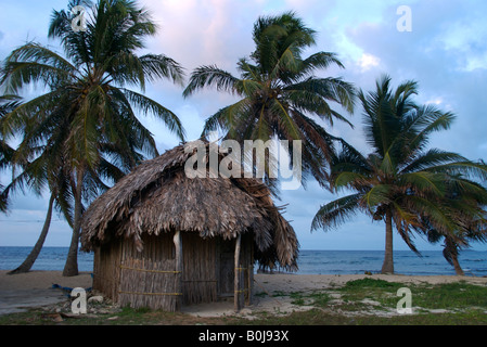 Ein Reetdach Cabana mit Palmen und dem karibischen Meer auf Isla Tigre auf den San Blas Inseln, Panama. Stockfoto