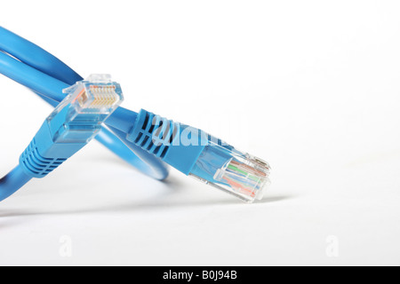 Kategorie 5-Netzwerk-Kabel isoliert auf weiss blau gefärbt Stockfoto