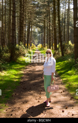 Frau zu Fuß durch Wald Thetford, Norfolk, Großbritannien Stockfoto