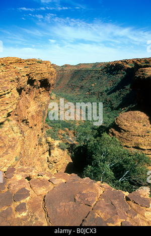 Auf halber Strecke zwischen Alice Springs und Uluru (Ayers Rock) liegt Watarrka National Park, Heimat von Kings Canyon. Stockfoto