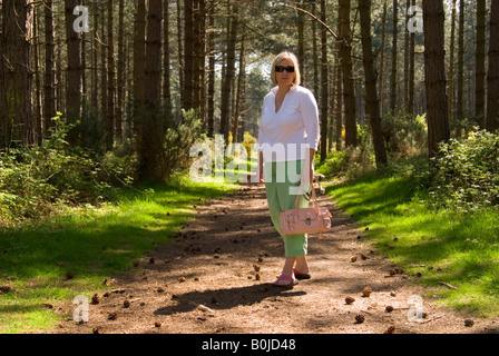 Frau zu Fuß durch Wald Thetford, Norfolk, Großbritannien Stockfoto