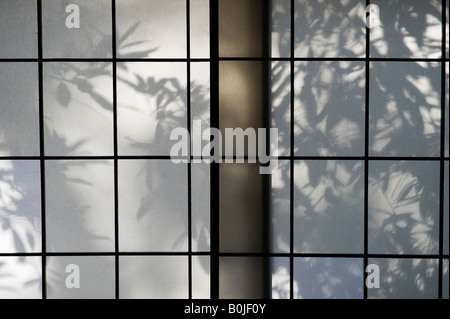 Tokio, Japan. Bambus Blatt Schatten auf einer gleitenden Papier Fenster (Shoji) in den frühen Morgenstunden Stockfoto