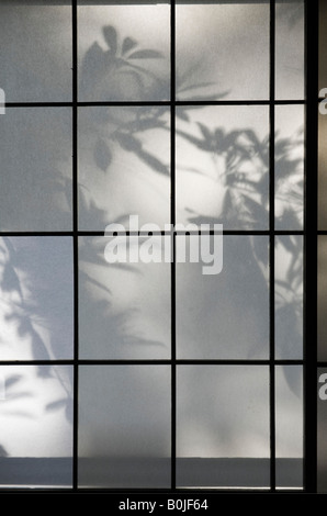 Tokio, Japan. Bambus Blatt Schatten auf einer gleitenden Papier Fenster (Shoji) in den frühen Morgenstunden Stockfoto