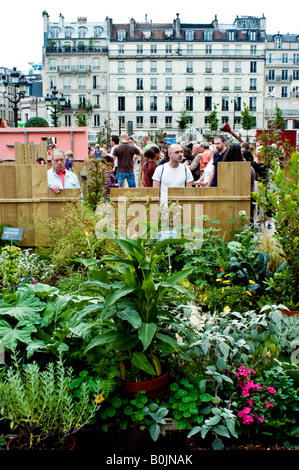 Paris Frankreich, Öffentliche Veranstaltungen 'Garden Festival' 'H tel de Ville / City Hall' People Visiting Plant Exhibition, Temporary Garden, ville de paris Nature Stockfoto