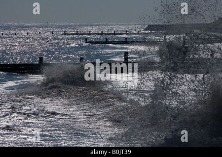 Morgensonne auf Wellenbrecher Walcott Norfolk April Stockfoto