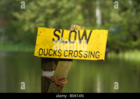 Enten, die Kreuzung Zeichen Frensham großen Teich Surrey UK Stockfoto