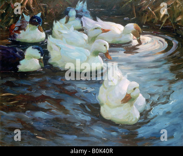 "Enten auf dem Teich", c1884-1932. Künstler: Alexander Koester Stockfoto