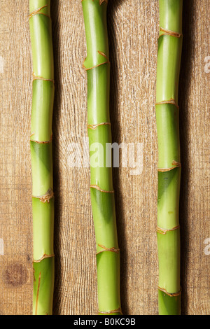 Drei Bambus stammt Stockfoto