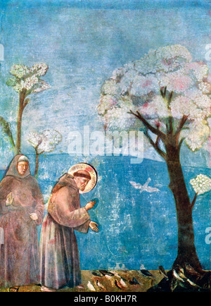 "St Francis Preaching der Vögel", 1297-1299, (1900-1920). Künstler: unbekannt Stockfoto