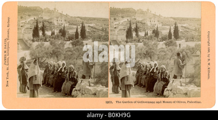 Der Garten Gethsemane und der Ölberg, Palästina, 1898. Artist: BW Kilburn Stockfoto