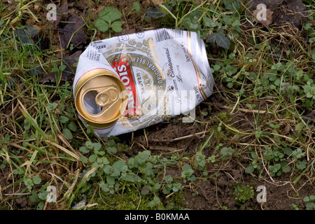 Ausrangierte Stella Artois Bierdose Oxfordshire The Cotswolds Vereinigtes Königreich Stockfoto