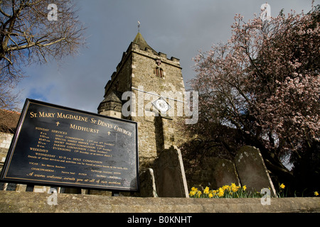 Blick auf das Gebäude und Gelände der Kirche St Mary Magdalene & St. Denys in Midhurst, West Sussex, England. Stockfoto