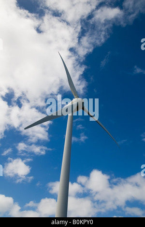 Detail einer drei-Blatt-Windenergieanlage, einer der Windenergieanlagen in der Nähe von Albany, Westaustralien Stockfoto