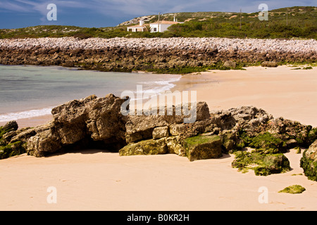 Moosige Felsen am Strand, Portugal, Europa Stockfoto