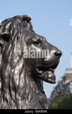 Trafalgar Square in London Löwe Skulptur von Sir Edwin Landseer Stockfoto