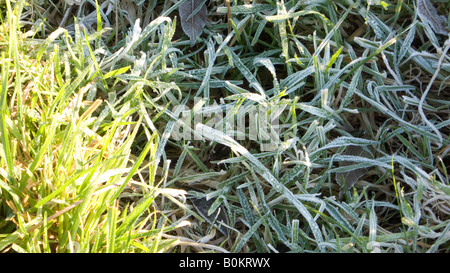 Frostigen Rasen in ein Winter-Landschaft Stockfoto