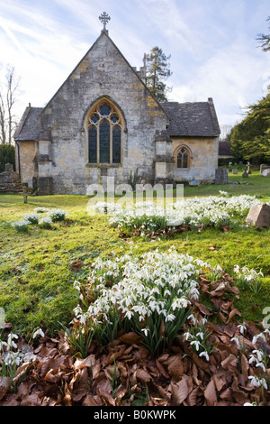 Schneeglöckchen blühen auf dem Friedhof der St. James Church in Cotswold Dorf von Colesbourne, Gloucestershire Stockfoto