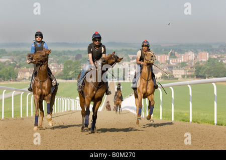 Rennpferde und ihren Jockeys Fahrt auf der Heide, Newmarket Galoppaden, Newmarket, Suffolk, England Stockfoto