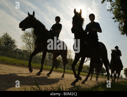 Rennpferde und ihre Reiter zurück aus Ausritte, The Severals, Newmarket Suffolk Stockfoto