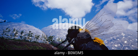 Große Biene Skulptur außerhalb die Kuppeln des Eden Project in Cornwall England UK Stockfoto