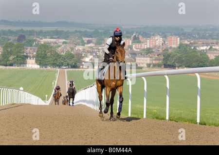 Rennpferde und ihren Jockeys Fahrt auf der Heide, Newmarket Galoppaden, Newmarket, Suffolk, England Stockfoto