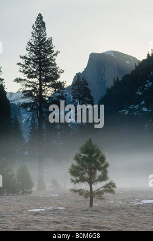 Frühling-Sonnenaufgang Licht hinter Half Dome Yosemite Valley Yosemite Nationalpark, Kalifornien Stockfoto