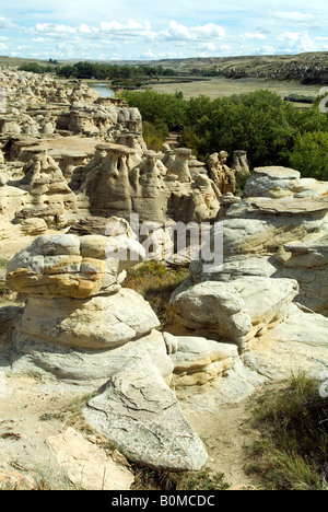 Felsformationen, auf Stein Provincial Park, Alberta, Kanada, Nordamerika zu schreiben. Stockfoto