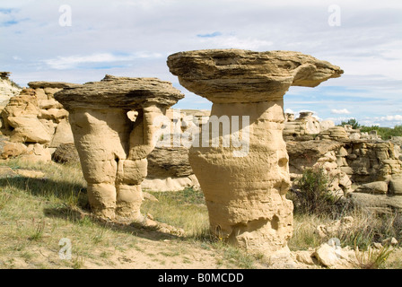 Felsformationen, auf Stein Provincial Park, Alberta, Kanada, Nordamerika zu schreiben. Stockfoto