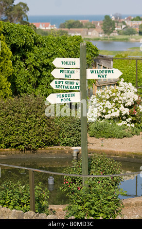 Hinweisschilder am Flamingo Park, Insel Wight im Frühling. Der Solent steht im Hintergrund Stockfoto