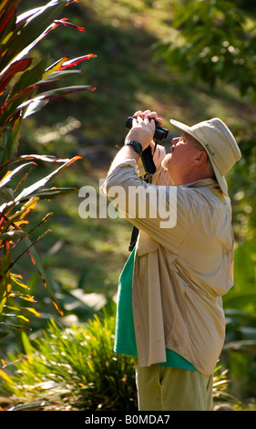 COSTA RICA reifer Mann mit Fernglas und Vogelbeobachtung im Regenwald Stockfoto
